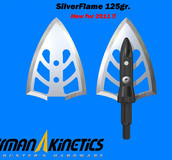 Silver Flame 125